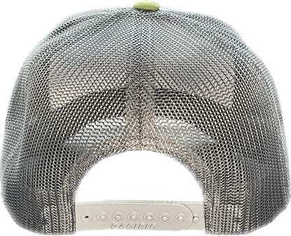 Tri-colored snapback with logo