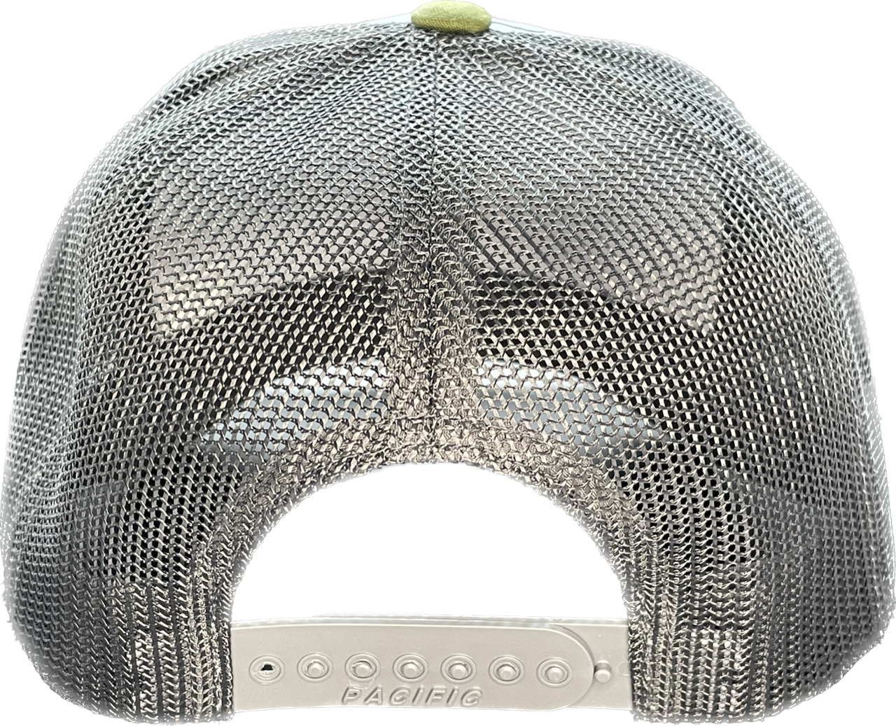 Tri-colored low profile snapback with logo